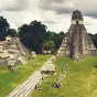 Maximo Nivel