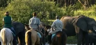 horseback safari