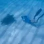 Diver photographing sea turtle underwater.