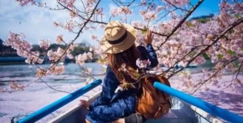CIEE Japan