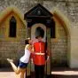 USAC England: London - Undergraduate and Graduate Courses Image Gallery'