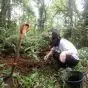 Conservation intern in Costa Rica