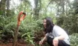 Conservation intern in Costa Rica