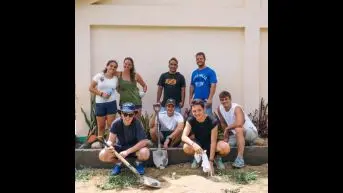 IVHQ Programs