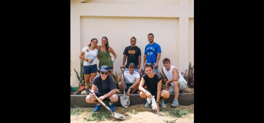 IVHQ Programs