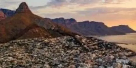 amazing Cape Town